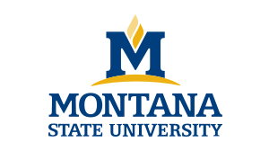 MSU logo