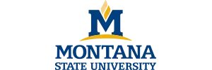 MSU logo