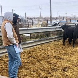 Agriculture Sciences Dawson Community College