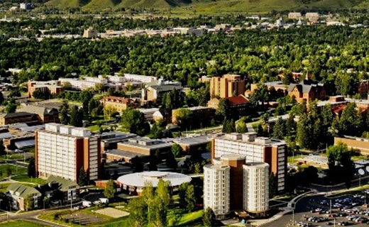 Gallatin College