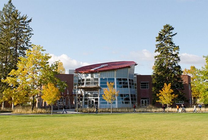 MSU AIMA