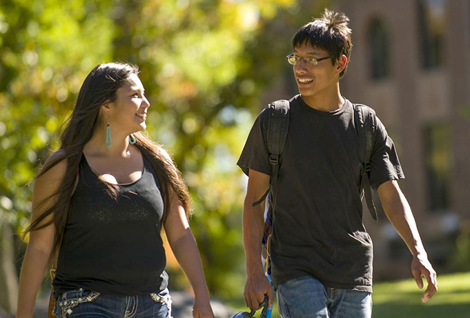 MSU Native American Resource Directory