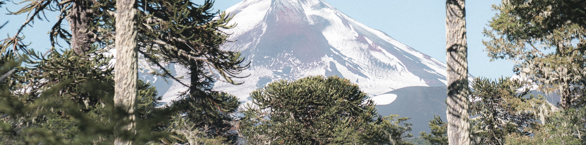 Natural Landscape