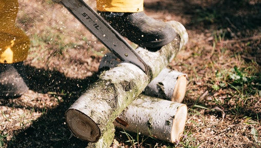 Forest technician
